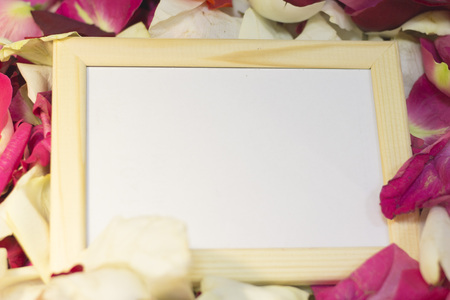 The concept of holidays with rose petalsの写真素材