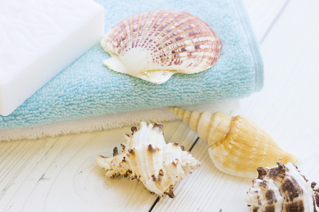 Sea shell spa concept