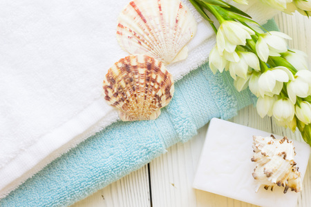 Sea shell spa conceptの写真素材