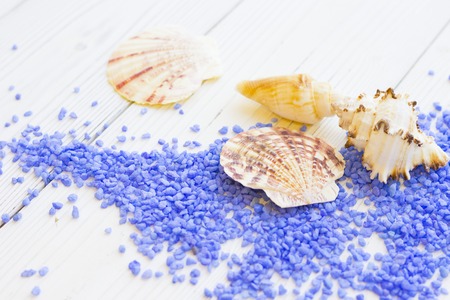 Spa concept with sea shells and bath saltの写真素材