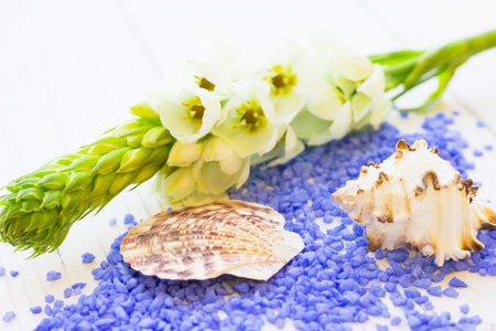 Spa concept with a candle
