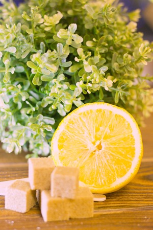 A set of spa essentials with lemon, brown sugar and a green plant on a natural dark wooden background, close upの写真素材