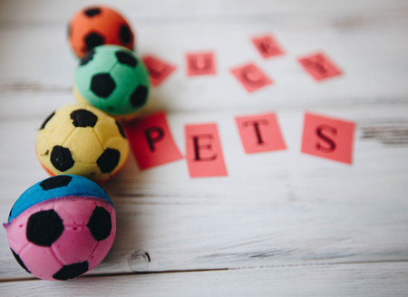 Colored rubber ball toys for petsの写真素材