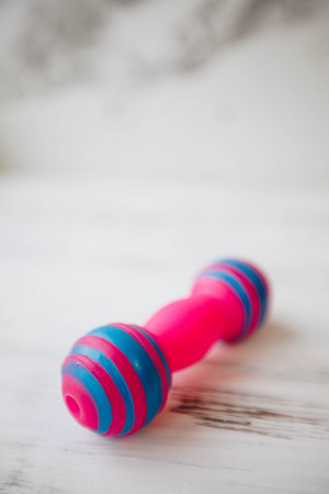 Colored rubber toy for petsの写真素材