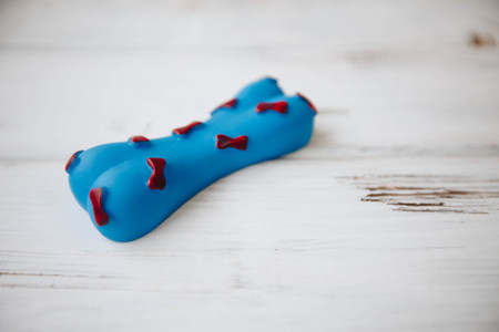 A bowl of dog foodの写真素材