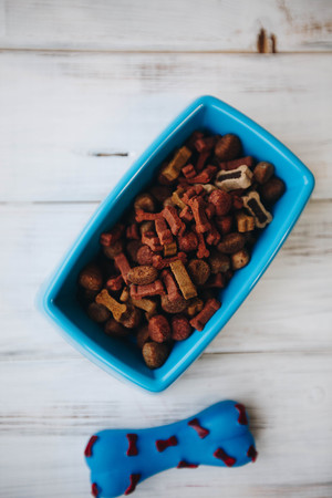 A bowl of dog foodの写真素材