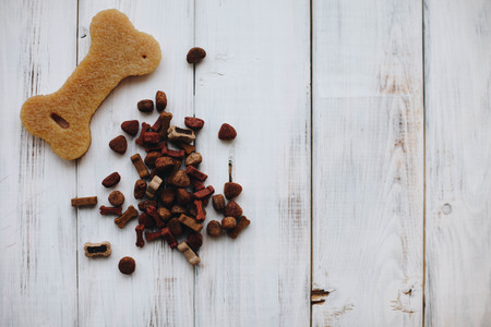 Balanced meal for a petの写真素材