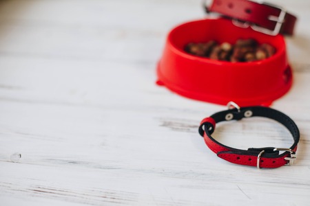 A bowl of dog foodの写真素材