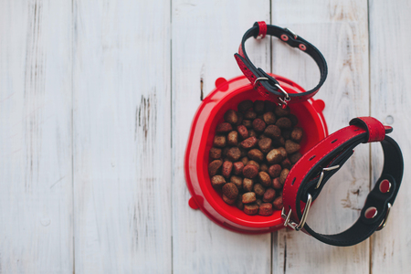 A bowl of dog foodの写真素材