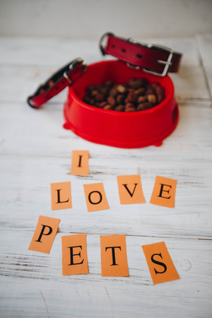 A bowl of dog foodの写真素材