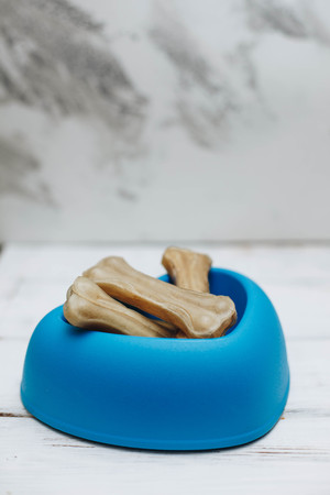 A bowl of dog foodの写真素材