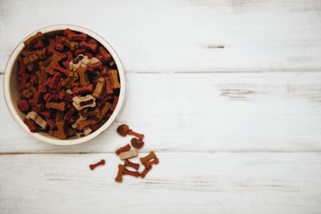 A bowl of dog foodの写真素材