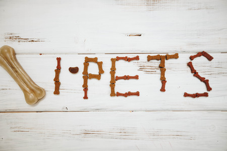 Balanced meal for a petの写真素材