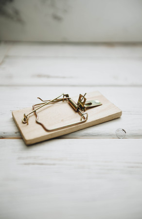 A bowl of dog food and snacksの写真素材