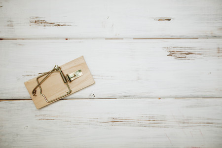 A bowl of dog food and snacksの写真素材