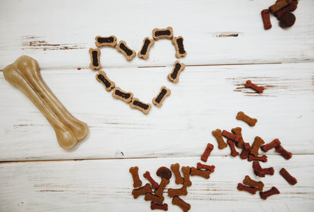 Balanced meal for a petの写真素材