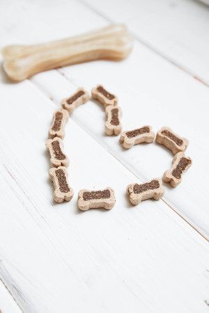 Balanced meal for a petの写真素材