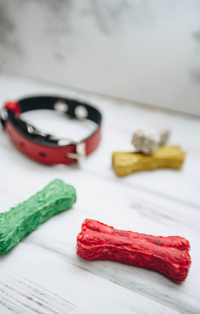 A bowl of dog foodの写真素材