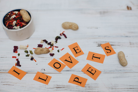 A bowl of dog foodの写真素材