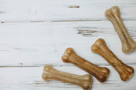 A bowl of dog foodの写真素材