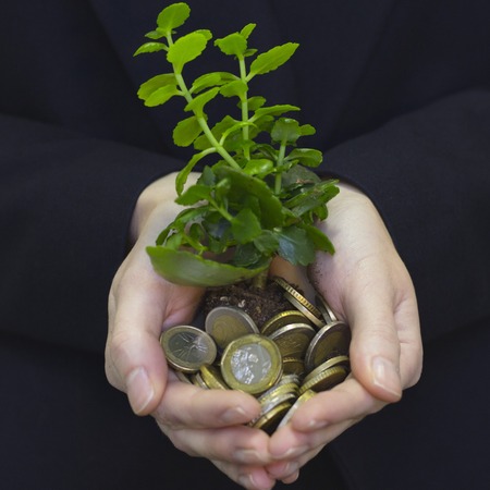 Money tree with coinsの写真素材