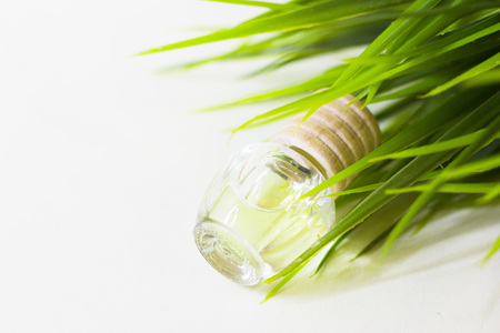 Lime oil skin conceptの写真素材