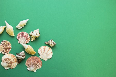 Seaside green background