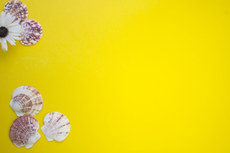 Travel concept yellow backgroundの写真素材