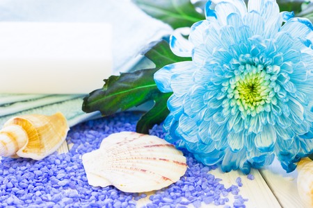 Spa items set with a blue flower,lavender bath salt, sea shells and a bar of soap, close up, white backgroundの写真素材