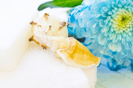 Spa, Floral concept with a blue chrysanthemum flower, clean towels, and sea shells, close upの写真素材