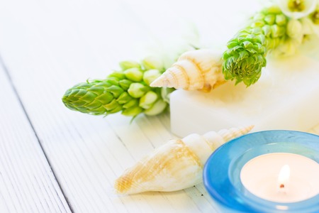 Spa items set with white flower spur, a bar of soap and a burning candle, white wooden background, close upの写真素材