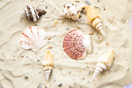 Vacation holiday conceptの写真素材