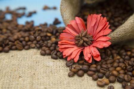 Love Coffee Concept. Coffee beans pouring from a burlap sack and a red flower, close up