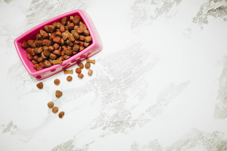 Dry pet food in bowl on white wooden background top view copyspace