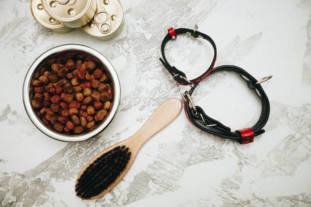 Dry pet food in a bowl, chewing bones and comb on white stone background top view copyspaceの写真素材