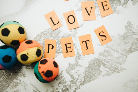 Pet toys on white stone background top view copyspaceの写真素材