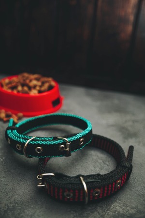 Dry pet food in bowl and a collar on dark stone background top view copyspaceの写真素材
