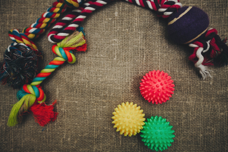 Pet toys balls on canvas cloth background top view copyspaceの写真素材
