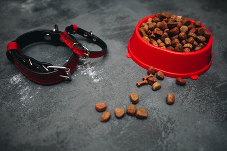 Dry pet food in bowl on dark stone background top view copyspaceの写真素材