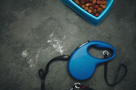 Dry pet food in bowl and a leash on dark stone background top view copyspaceの写真素材