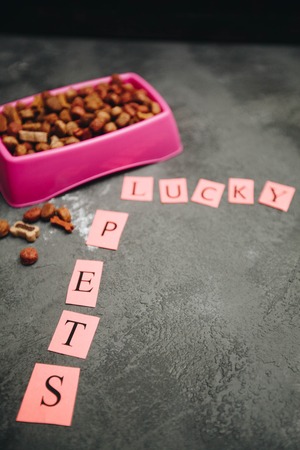 Dry pet food in bowl on dark stone background top view copyspaceの写真素材