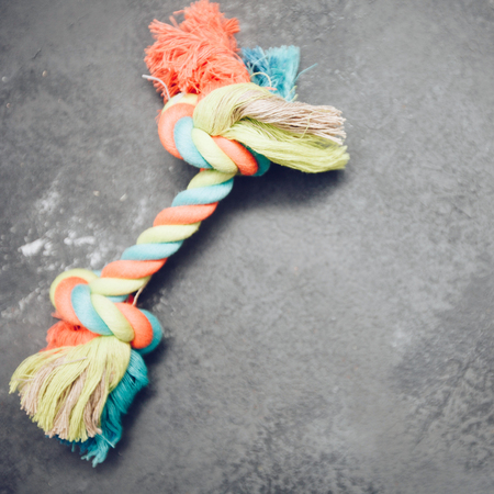 Pet toys on dark stone background top view copyspace