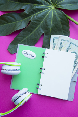 Vacation concept. An opened notepad with VACATION sticker, dollar notes and headphones on a pink background with a palm leafの写真素材