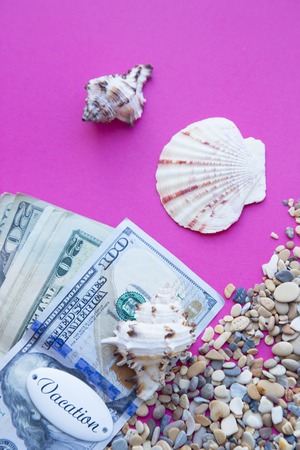Vacation concept. Dollar notes and camers on pink background with and small stones and sea shellsの写真素材