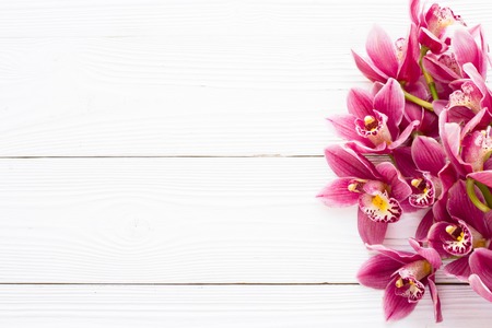 Spa and wellness setting with orchid flower, oil on wooden white background closeup