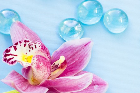Spa and wellness setting with orchid flower, oil on wooden blue background closeupの写真素材