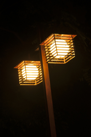 Lamp posts at nightの写真素材