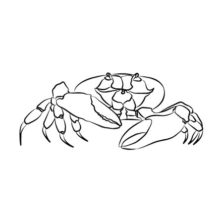 crab picture, It's so beautiful picture.のイラスト素材