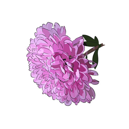 flower picture, It's so beautiful.のイラスト素材