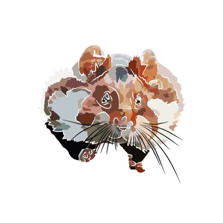 hamster picture, It's so beautiful.のイラスト素材